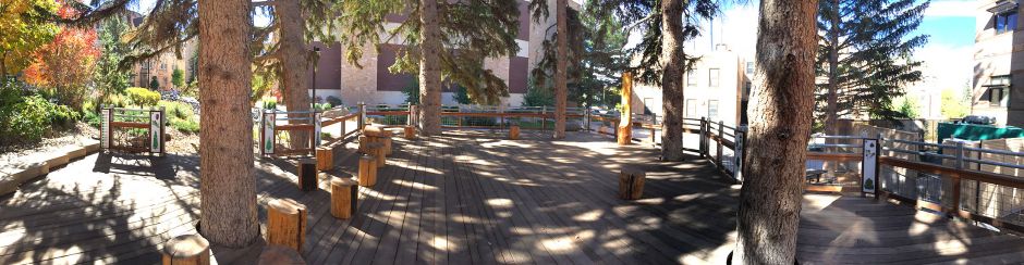 Photo of the Spruce court 