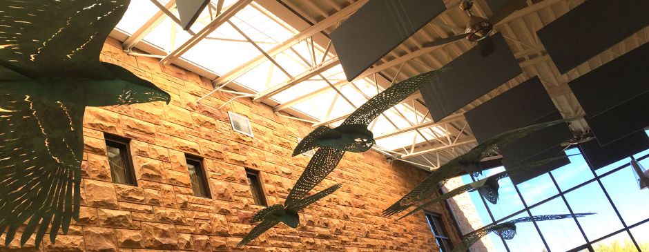 photo of raptor artwork in the Biodiversity center