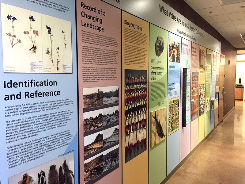 Picture of a display from the museum 