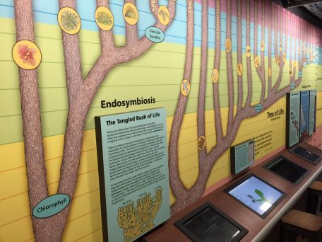 Image of wall art depicting the tree of life