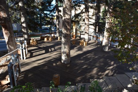Photo of the Spruce court 