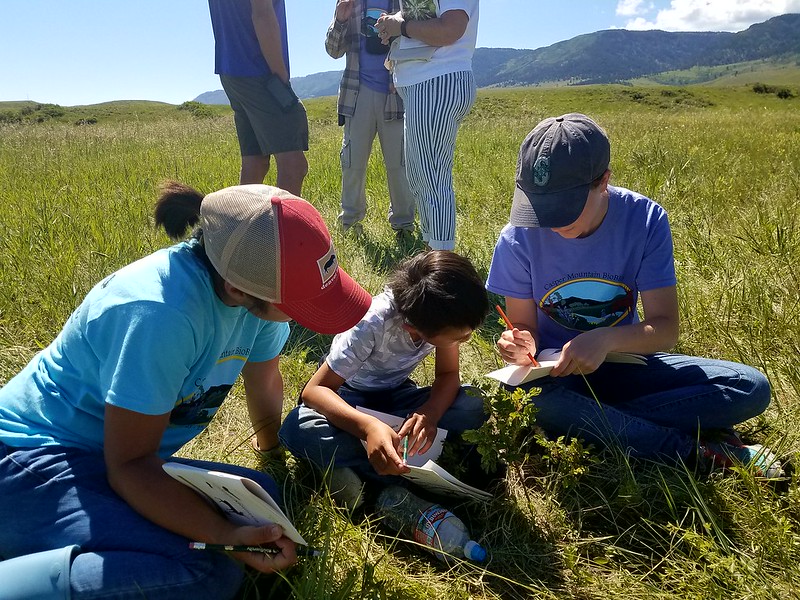 Young people participating in the Wyoming Bioblitz community Science project.