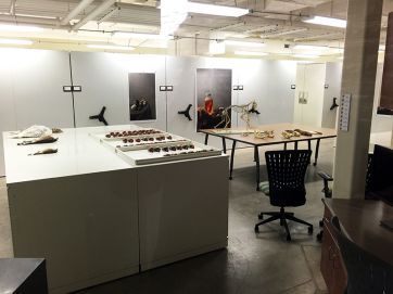 picture of a lab