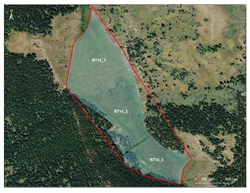 Bailey Meadows catchment