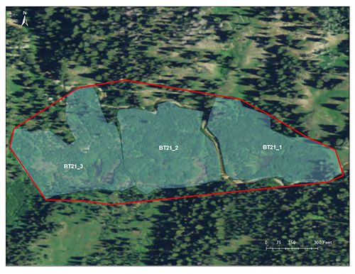 Corral Creek catchment