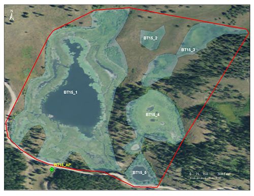 Lily Lake catchment