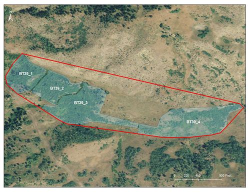 Little Horse Creek catchment