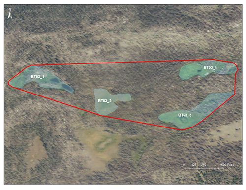 New Fork Lake catchment