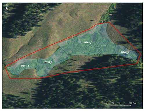 Pine Knoll catchment