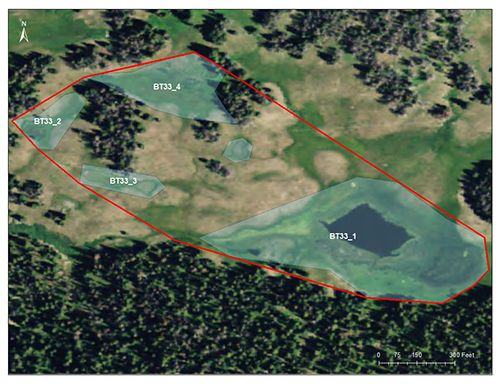 Square Lake catchment