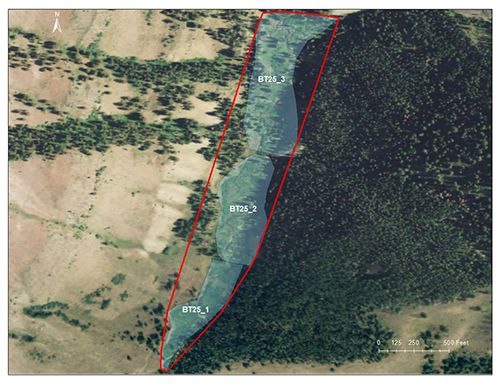 Telephone Hollow catchment