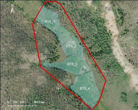 Indian Trail Ponds catchment