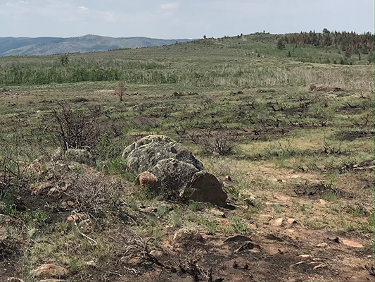 A Wyoming landscape showing the effects of the Mullen Wildfire