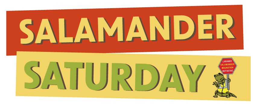 Text: Salamander Saturday!