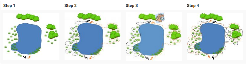 A visual guide to the dual-observer method map and method.