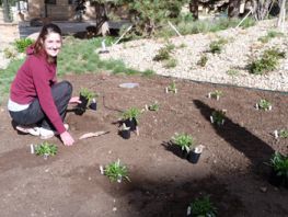 A person planting a garden