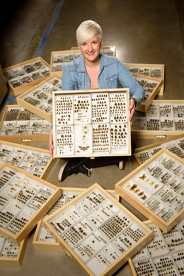 A photograph of Christine Bell sitting with a collection of Bumblebee Specimens