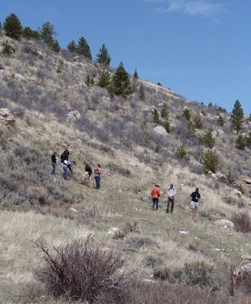 Students exploring ungulate habitat on a Wyoming mountainsite.