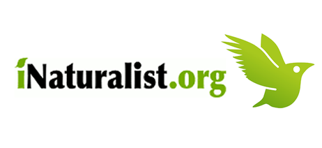 inaturalist logo 