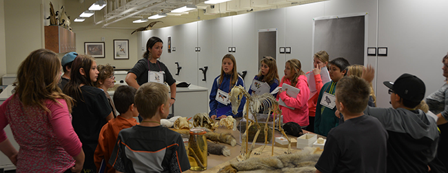 A photo of students listening to a presentation about vertebrates 