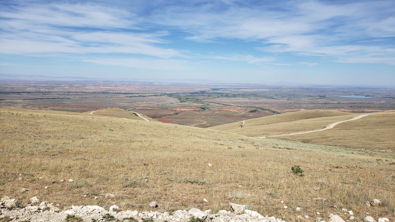 A photograph of Albert's research group in the field.