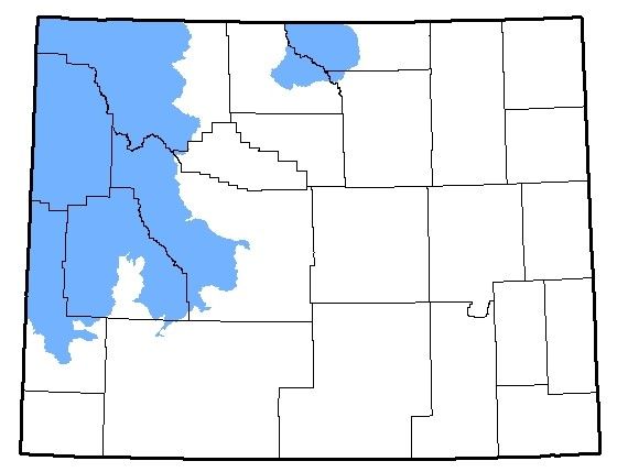 Map of the native range of the Columbia Spotted Frog