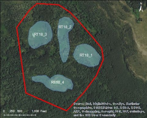 Map of Beaver Creek Catchment