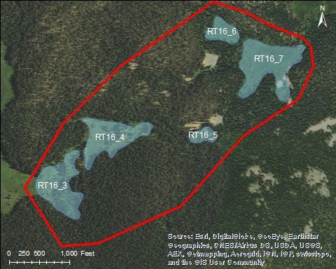 Map of Morrison Creek Catchment