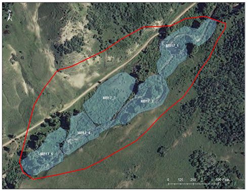 Battle Creek catchment