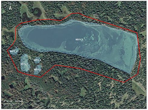 Cecil Ponds catchment