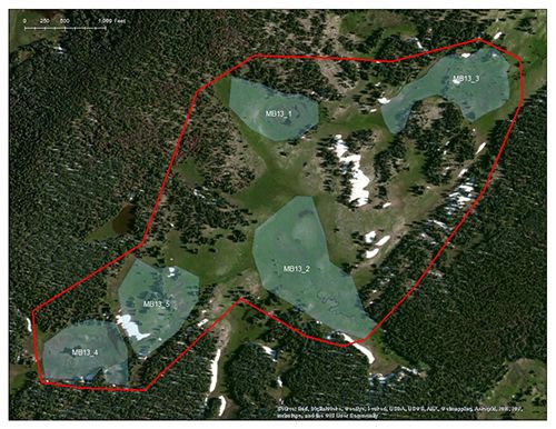 Sand Lake Bench catchment