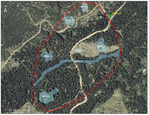 South Fork Ponds catchment