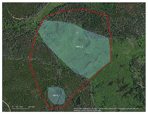 Willow Park catchment