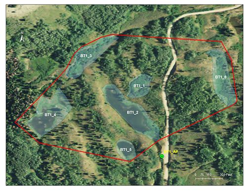 Red Castles catchment